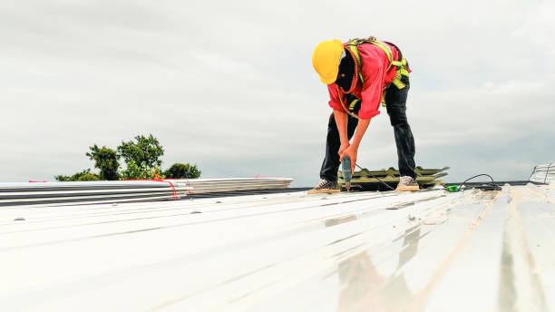 Best Steel Roofing  in Mount Hermon, VA